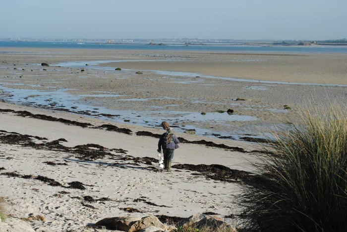Pêche-à-pied-Plounéour-Trez-1