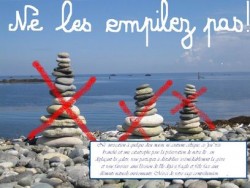 affiche_cairns