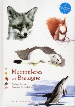 Stéphane Brousse Mammifères de Bretagne