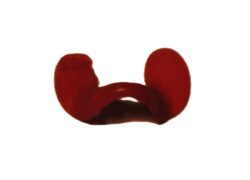 Lunettes-pour-poules-Collection-Gabriel-Henry